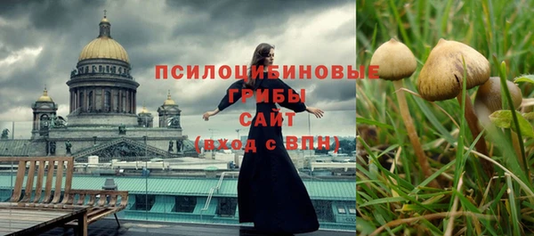 прущий лед Абаза