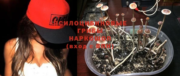 не бодяженный Алексин