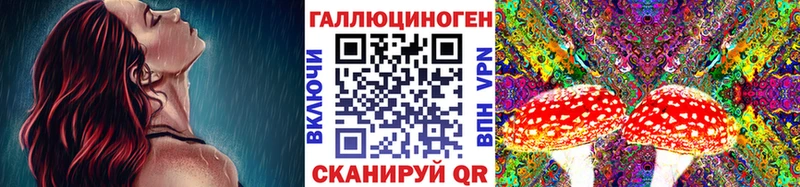 Псилоцибиновые грибы Magic Shrooms  Луга 