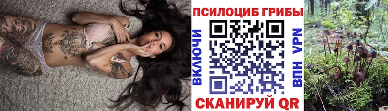 Галлюциногенные грибы прущие грибы Луга