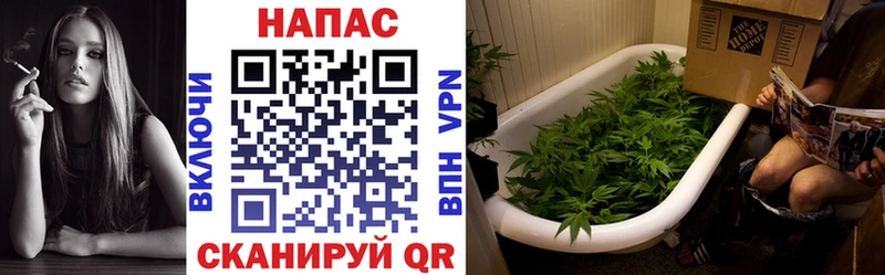 МАРИХУАНА ГИДРОПОН Луга